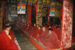Tibetan-Monks